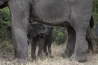 DSC_4097 (Large).JPG